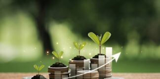 11 Small Business Ideas That Can Make You Uganda’s Next Millionaire Small business ideas Uganda