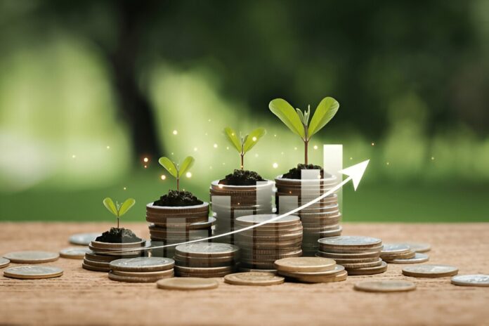 Small business ideas Uganda